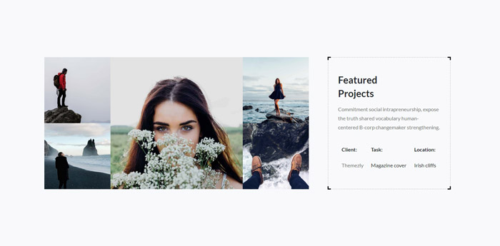 portfolio